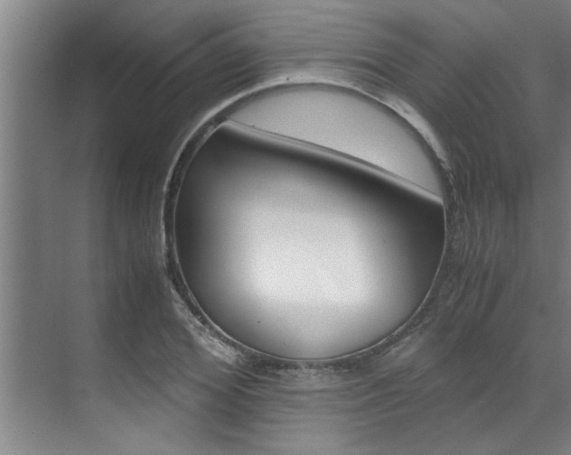 X0000071950980200607071035