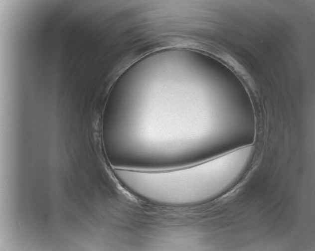 X0000071951001200607071034