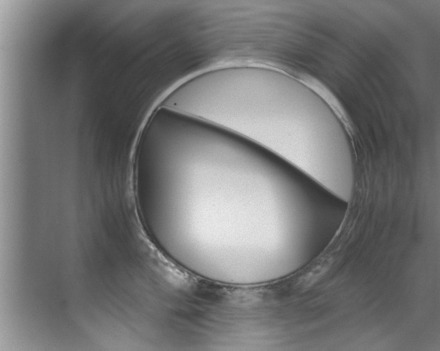 X0000071951004200607071034