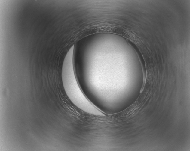 X0000071951010200607071033