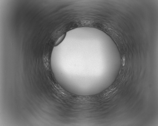 X0000071951011200607071033
