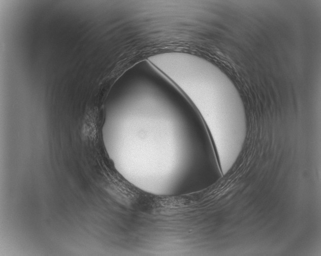 X0000071951012200607071033