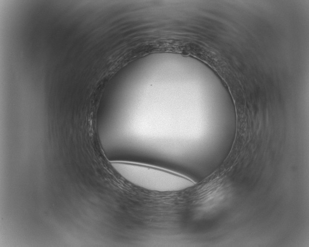 X0000071951013200607071033