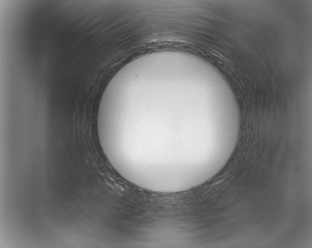 X0000071951014200607071033