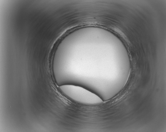 X0000071951023200607071033