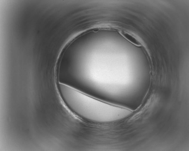 X0000071951045200607071034