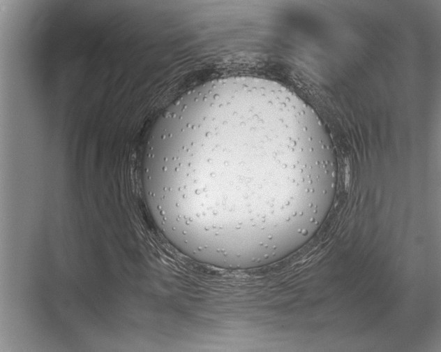 X0000071951059200607071033