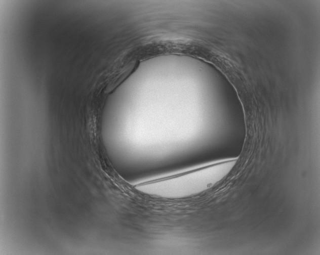 X0000071951061200607071033