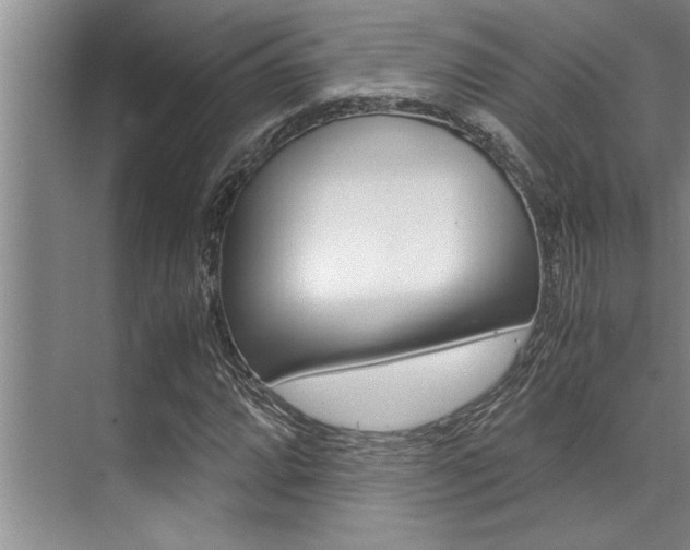 X0000071951064200607071033