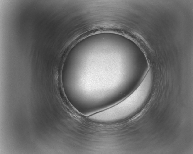 X0000071951065200607071033