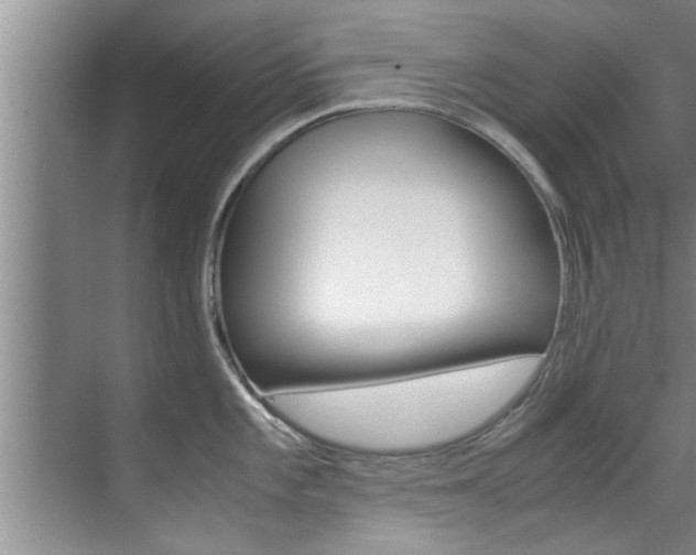 X0000071951101200607071033
