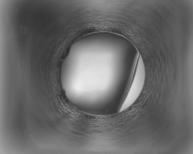 X0000071951153200607071032