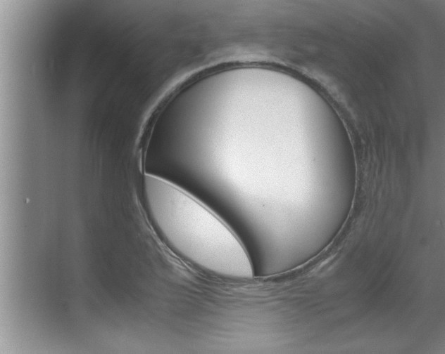 X0000071951175200607071031
