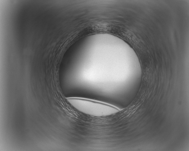X0000071951201200607071030