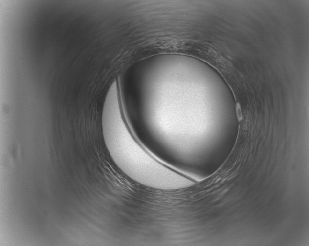 X0000071951202200607071030