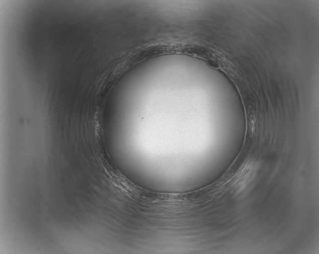 X0000071951204200607071030
