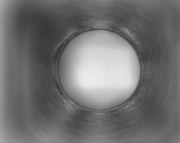 X0000071951211200607071030