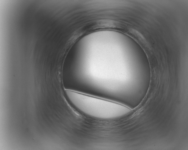 X0000071951225200607071030
