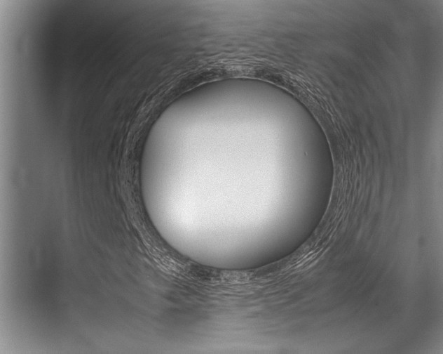 X0000071951249200607071030