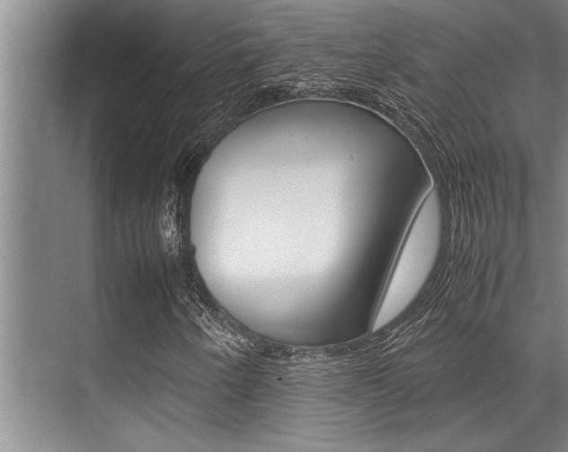 X0000071951250200607071030