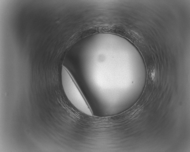 X0000071951252200607071030