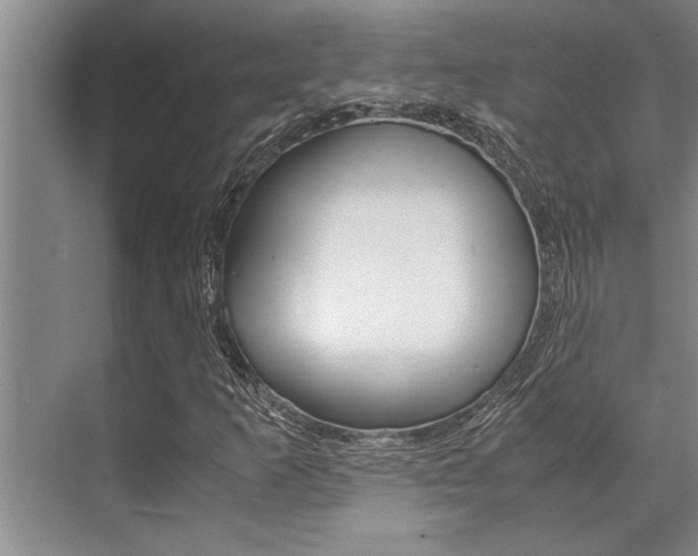 X0000071951253200607071030