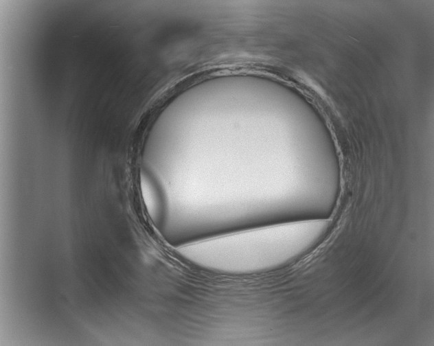 X0000071951259200607071030