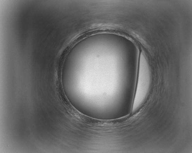 X0000071951261200607071030