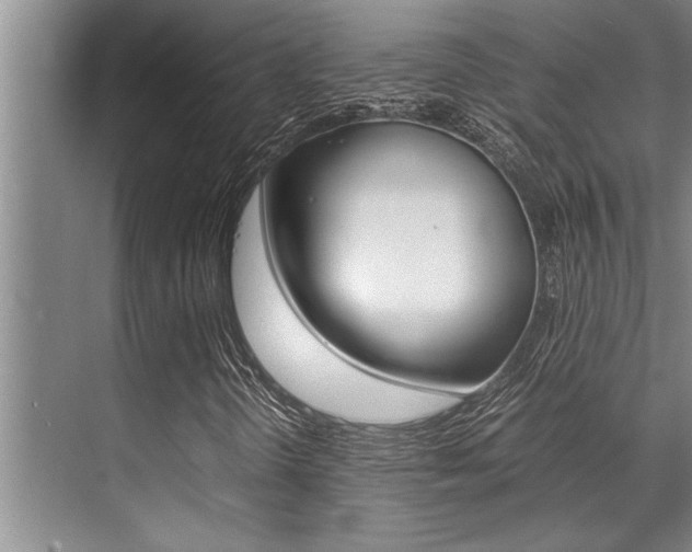 X0000071951298200607071028