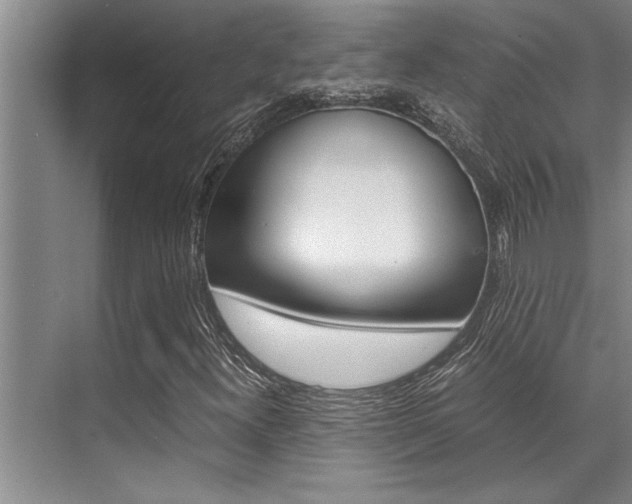 X0000071951300200607071028