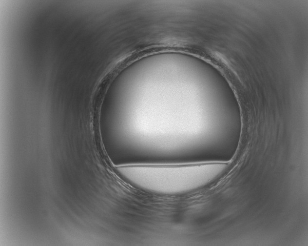 X0000071951307200607071029