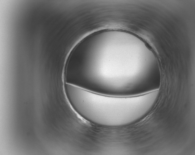 X0000071951343200607071029