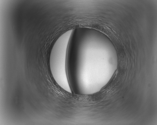 X0000071951345200607071028