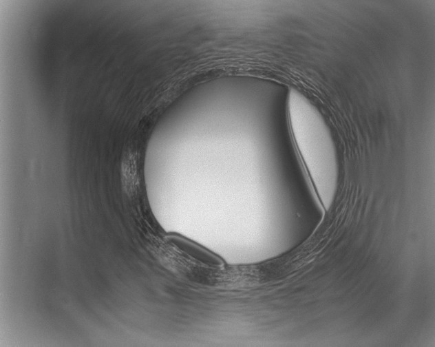 X0000071951347200607071028
