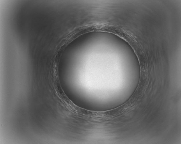 X0000071951349200607071028