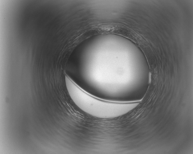 X0000071951394200607071027