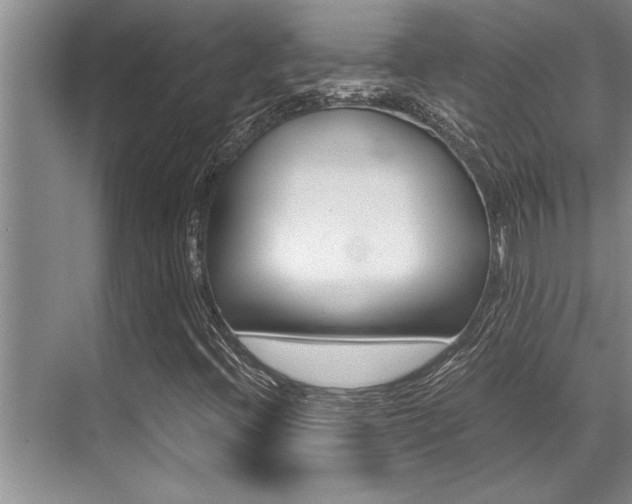 X0000071951396200607071027