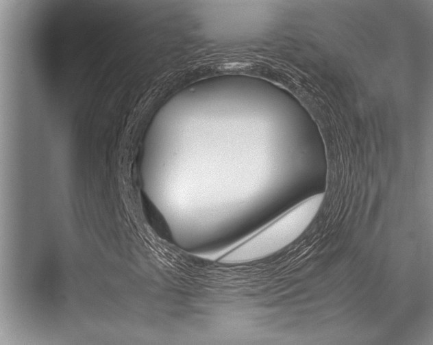 X0000071951441200607071027