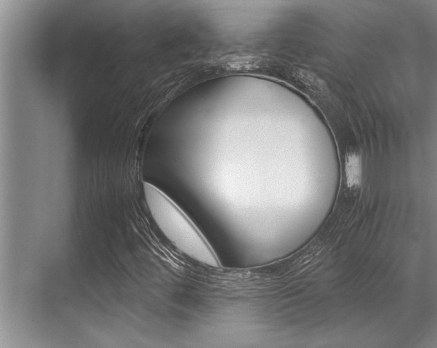 X0000071951444200607071027