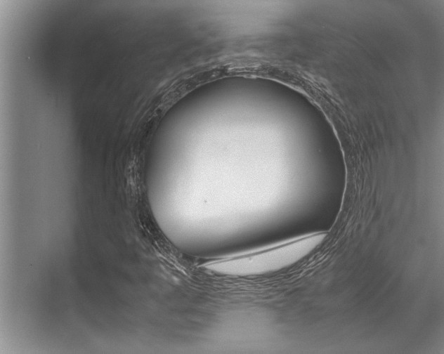 X0000071951445200607071027