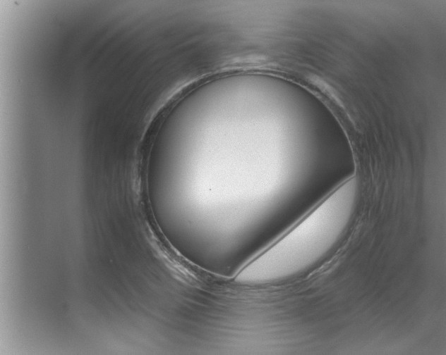 X0000071951458200607071027