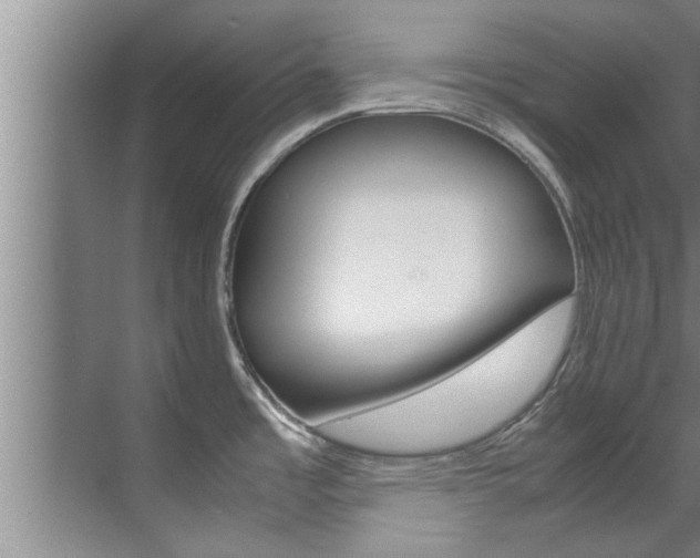 X0000071951485200607071026