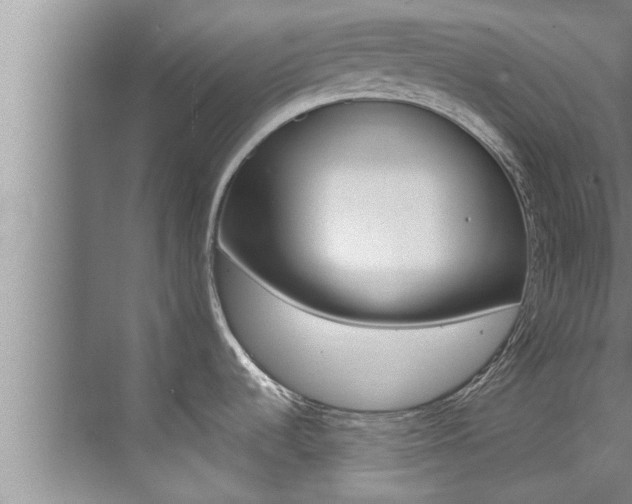 X0000071951536200607071026