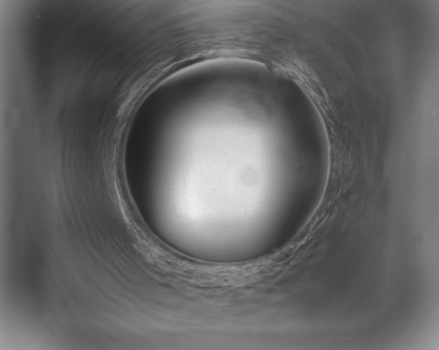 X0000071950001200607071222