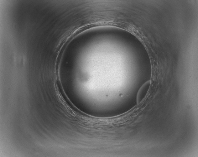 X0000071950002200607071222