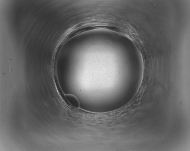 X0000071950003200607071222