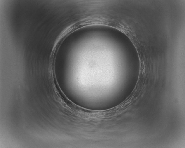 X0000071950004200607071222