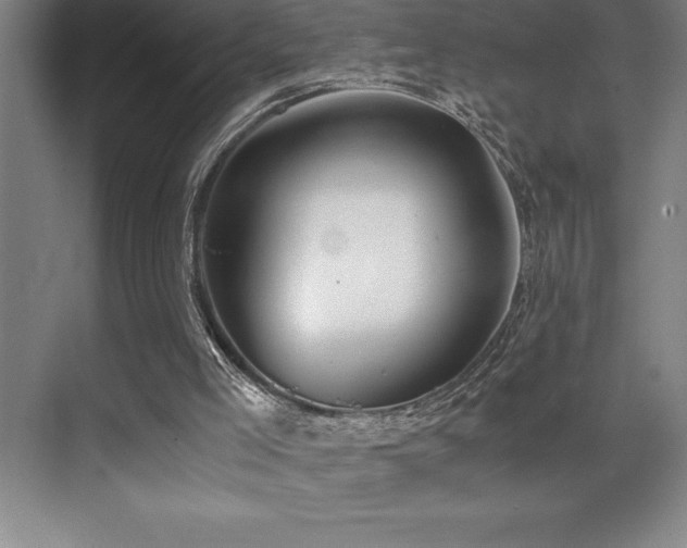 X0000071950005200607071222