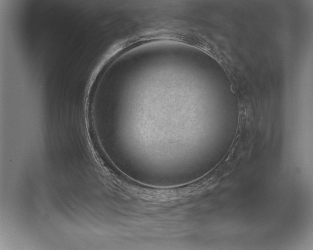 X0000071950006200607071222