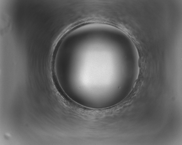 X0000071950007200607071222